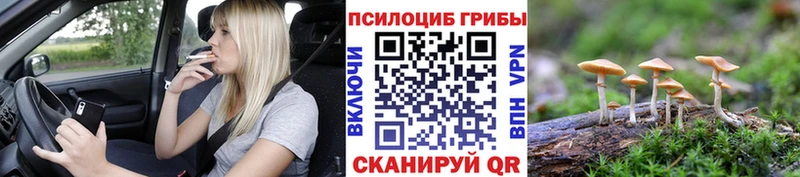 Псилоцибиновые грибы мухоморы  Кимовск 